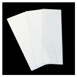 Plain Glass Slides